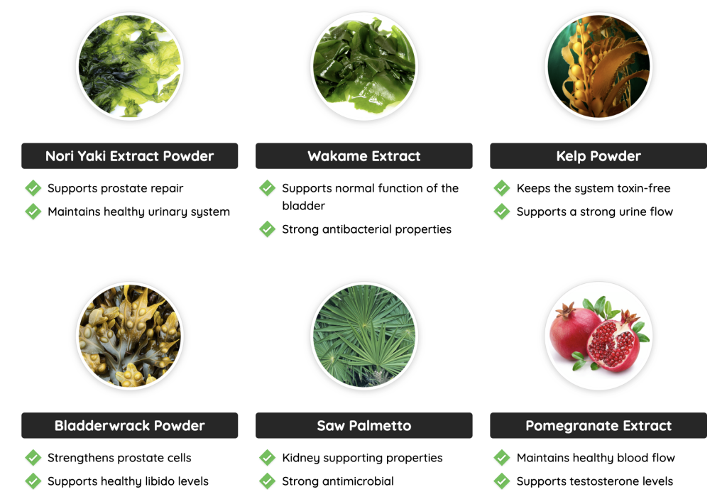Prostadine Ingredients